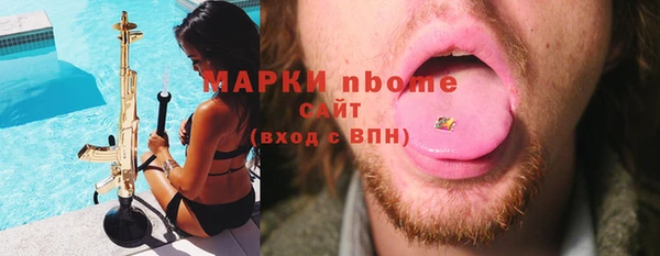 индика Магас