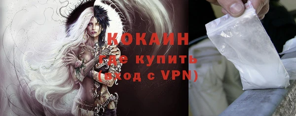 индика Магас