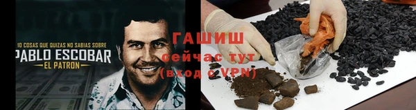 индика Магас