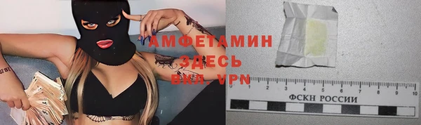 хмурый Печоры
