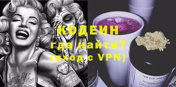 индика Магас